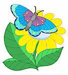Butterfly on yellow flower - vector illustration.