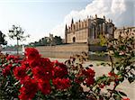 Cathedral La Seu in Palma de Mallorca, Spain. This church is one of the famous landmarks of Mallorca (Majorca). In the foreground red roses at Park del Mar with the salt water lake and sailing ships. On the left side you can see the spanish kings palace Palau de l'Almundia