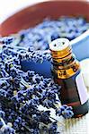 Dried lavender herb and essential aromatherapy oil