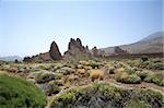 volcanic area near the teide volcano in tenerife spain