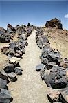 path near teide volcano in tenerife spain