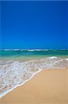 Wave surging on sand on peaceful beach