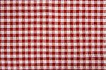 Red and White Checkered Picnic Blanket Detail