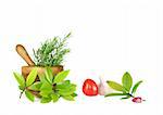 Fresh herb selection of rosemary and bay leaves with an olive wood pestle and mortar and ripe tomato with a garlic bulb and clove. Over white background.