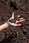 woman hand with volcanic stones