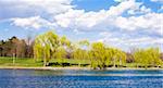 Lake and Nature in nice, white colours