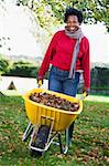 Mature woman collecting autumn leaves in garden