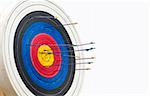 great image of a archery target full of arrows