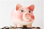 Pink piggy bank  isolated on white background with coins