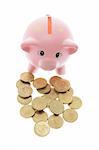 Piggy Bank with Coins on White Background