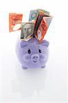 Piggy Bank with Notes on White Background