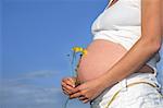 Pregnant woman holding a bunch of buttercups with exposed bare stomach. Blue sky to the rear.