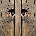 To intense eyes peeking through hole in fence!