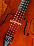 great image of a cello or violin