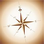 Wind rose over brownish and white gradient background