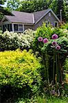 Landscaped front yard of a house with flowering garden