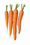 Bunch of fresh carrots isolated on white background. Clipping path included to replace background.