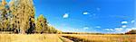 vibrant image of rural road and blue sky panorama