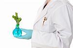 An agricultural or horticultural scientist holds a plant developed in a laboratory