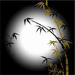 Silhouette of branches of a bamboo against a moonlight