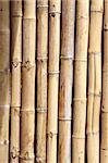 A bamboo wall found in south america