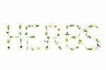 Herb leaf sprigs  forming the word herbs, over white background.