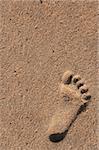 Single Footprint of a Child in the Sand at the Beach