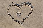 Shape of heart with dog footprint inside on sand