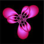 A six petaled abstract fractal done in shades of red and pink on a black background.