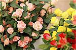 Beauty in nature - boquet of multi colored roses