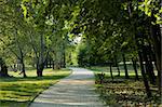 Path through a park