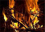 Bright campfire blazes In wood