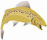 Vector art of a trout