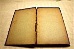 Blank and antique open book (vintage version)