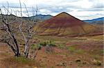 Mount Fuji's cousin in the Painted Hills of Oregon