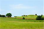 Landscape with green fields and trees