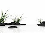 3d rendered illustration of black stones and green grass
