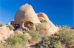 Skull Rock - formation located in Joshua Tree National Park, United States, along the main east-west park road.