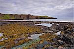 Coastal views around Dunnottar Castle near Stonehaven, Scotland