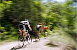 Blurred panning shot of three mountain bikers riding through the forest.