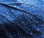 Fresh Water Drops on Blue Plant Leaf