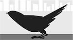 Illustration of a crow sitting on a floor