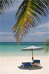 Nice vacation picture with parasol and palm leaves