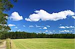 picturesque country road and field, cumulus clouds in background