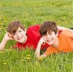 Brothers Laying in a Field of Dandelions