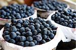 An image of bushels full of freshly picked blueberries