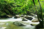 A mountain river with sunbeam.