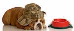 sad bulldog lying down with empty dog food dish - hungry dog