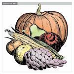 Vintage 1950s etched-style harvest of fruit and vegetables; detailed black and white from authentic hand-drawn scratchboard includes full colorization