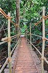 Indiana Johns's style hanging bridge made of bamboo and ropes